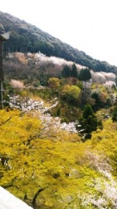 kiyomizu