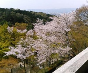 kiyomizu2