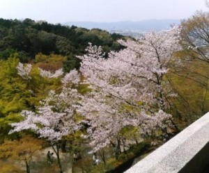 kiyomizu2