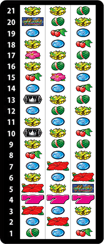 キングハイビ-30