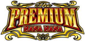 logo2