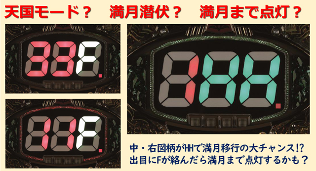 ■□FUJI Pアレジン プレミアム 循環仕様□■ Pアレジン プレミアム